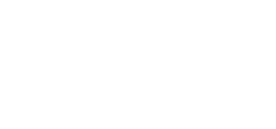 simple icon