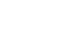 simple icon